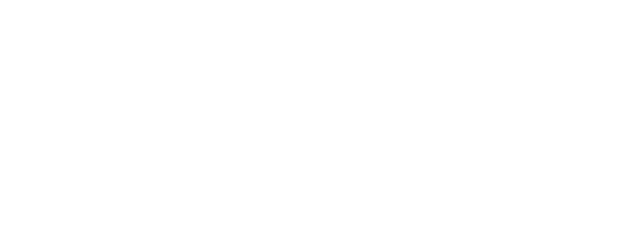 Prisma TPV